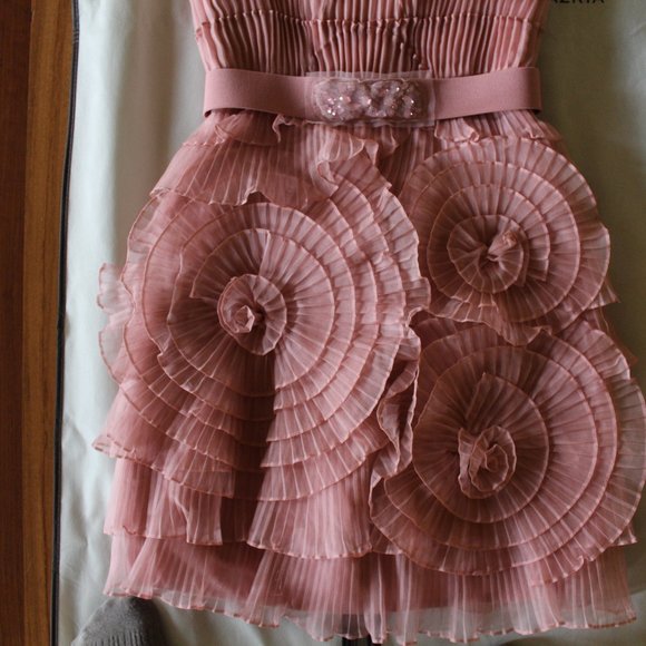 Silk BCBG Pink Dress - Silk Rosette Dress - Picture 5 of 6